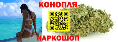 сатива Кунгур