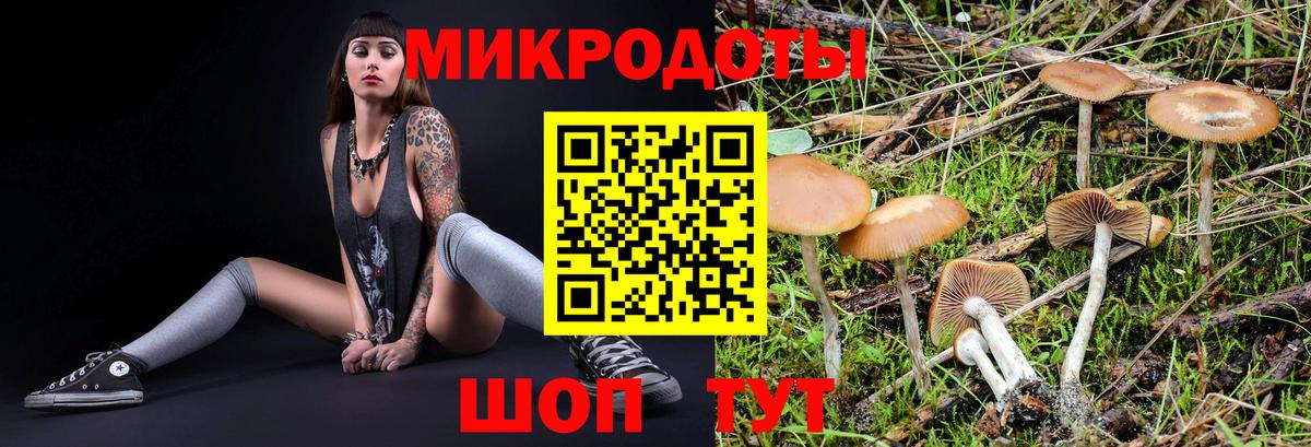 Галлюциногенные грибы GOLDEN TEACHER Урюпинск